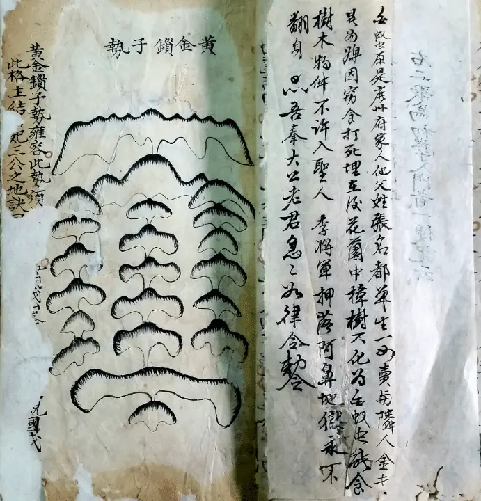 地理金不换地理嵪氏秘诀（彩色高清）全文手抄本 国学古籍 第4张