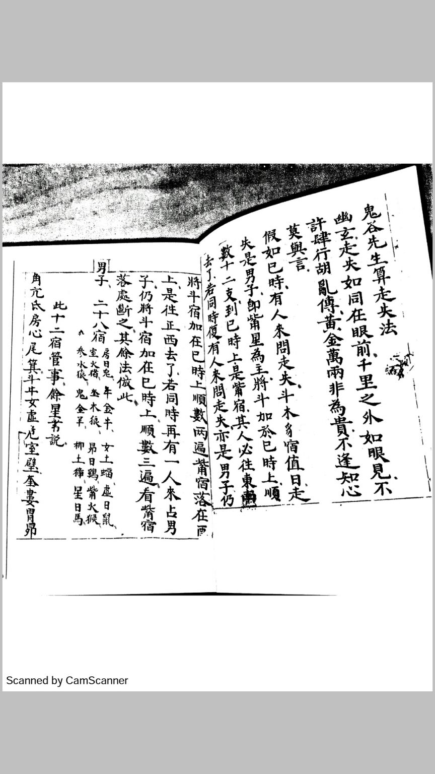 二十八