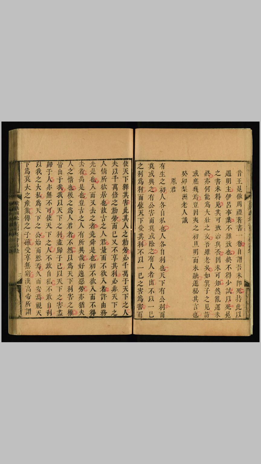 黄梨