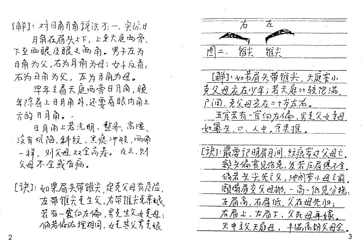 盛书笙整理《民间相法真诀》手抄本133页 手相面相 第3张