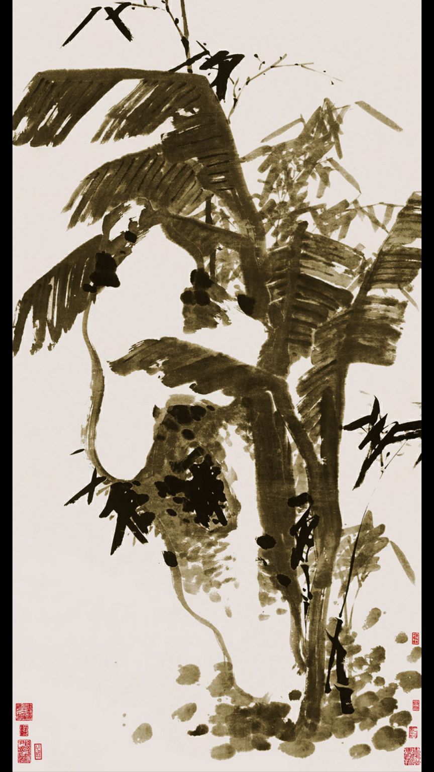 芭蕉
