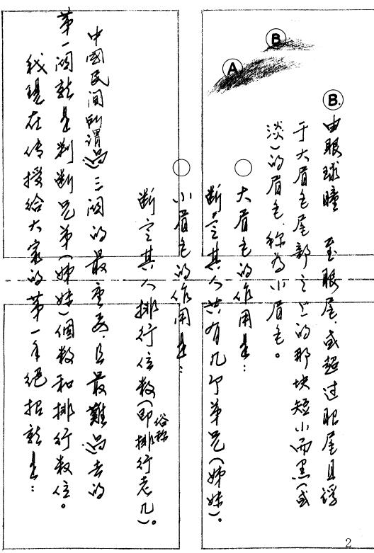 陈鼎龙：中国手面相绝学手稿讲义（一）（二）（三） 手相面相 第3张