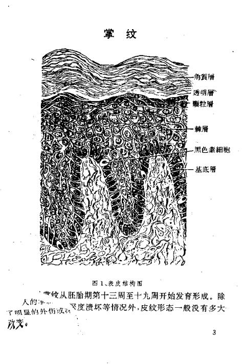 郑铎：实用手相足相预测 183页 手相面相 第4张