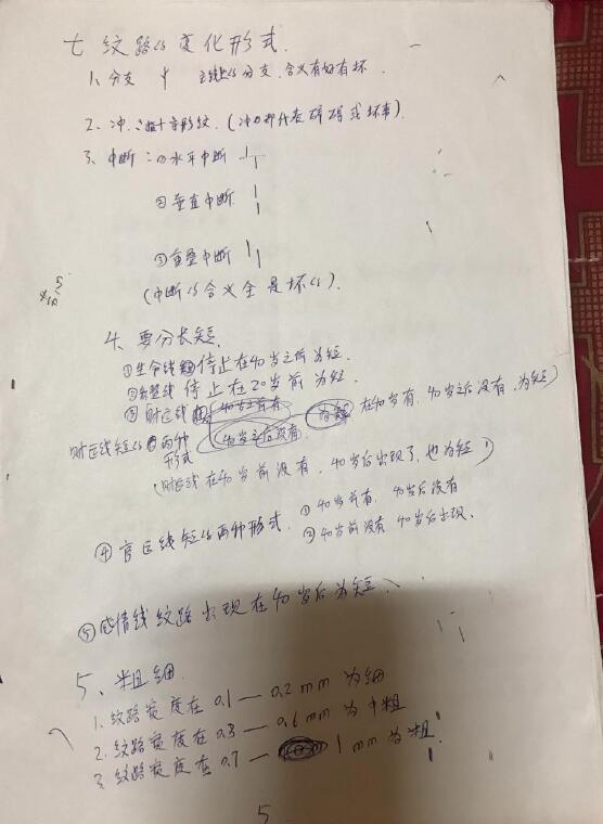 《新派手相面授课堂笔记》50页 (倒向流年) 手相面相 第5张