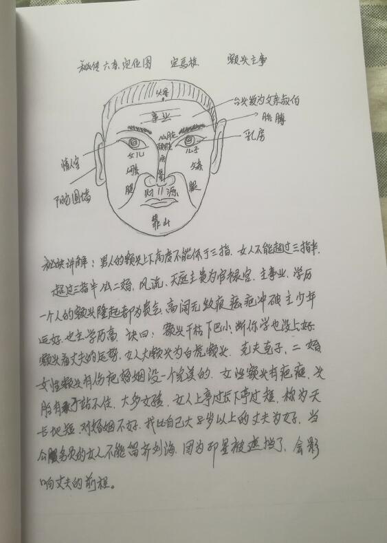 定马桩《民间相师看相绝技》手抄本 手相面相 第6张