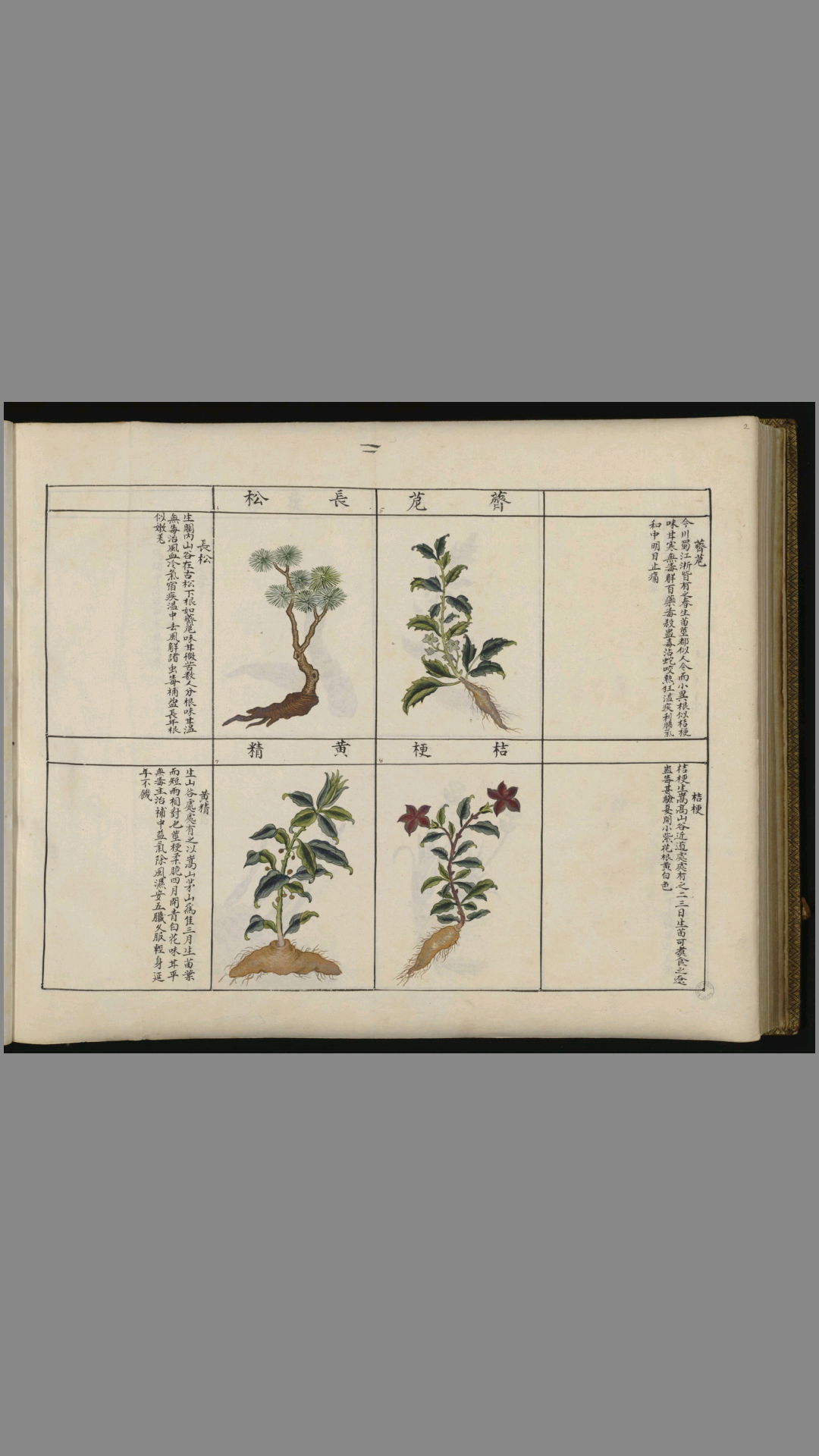 Screenshot_2016-02-25-07-38-48